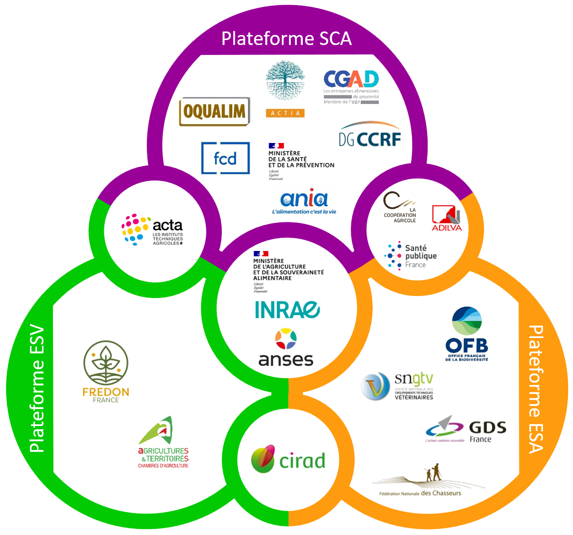 schéma membres trois ptfs